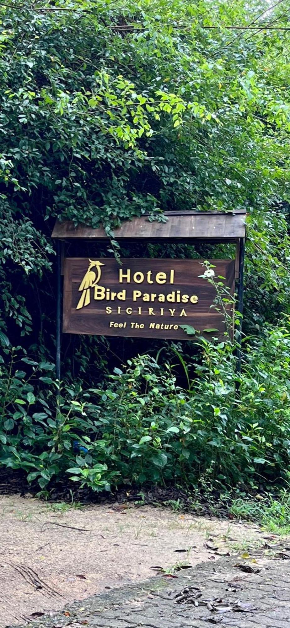 Hotel Bird Paradise สิกิริยา ภายนอก รูปภาพ